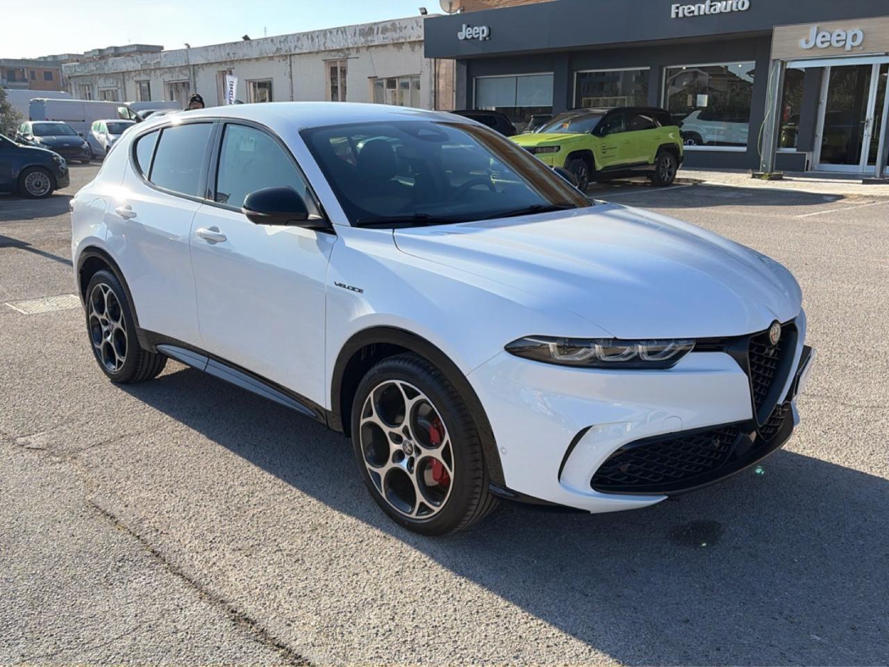 Alfa Romeo Alfa Romeo Tonale usata 26