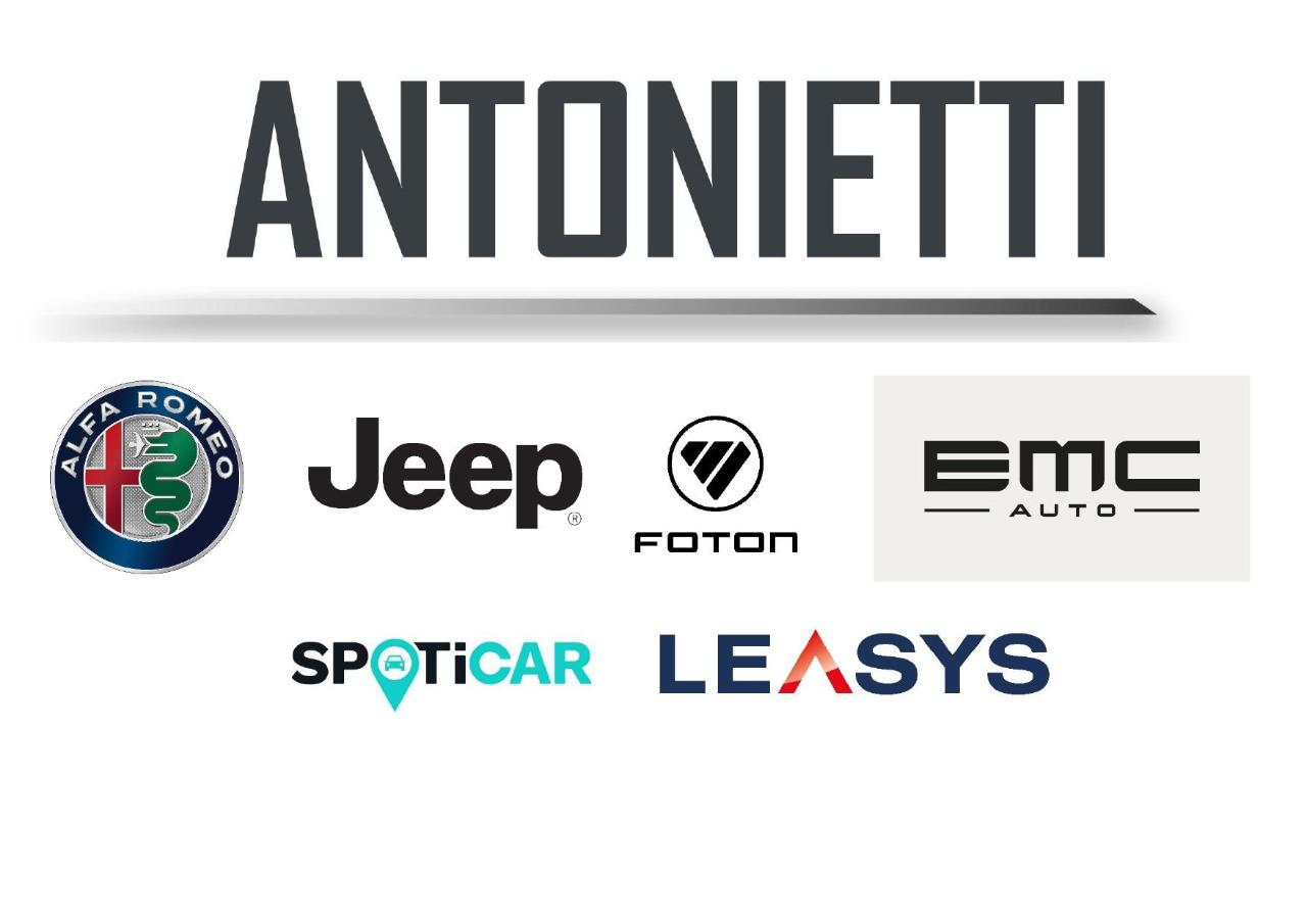 Alfa Romeo Alfa Romeo Tonale usata 2