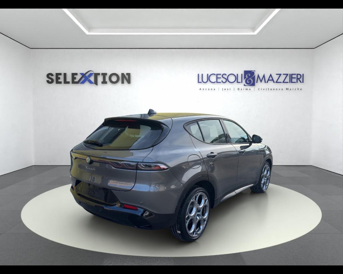 Alfa Romeo Alfa Romeo Tonale usata 13