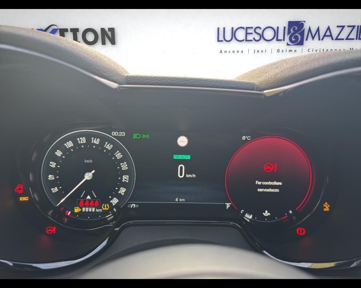 Alfa Romeo Alfa Romeo Tonale usata 14