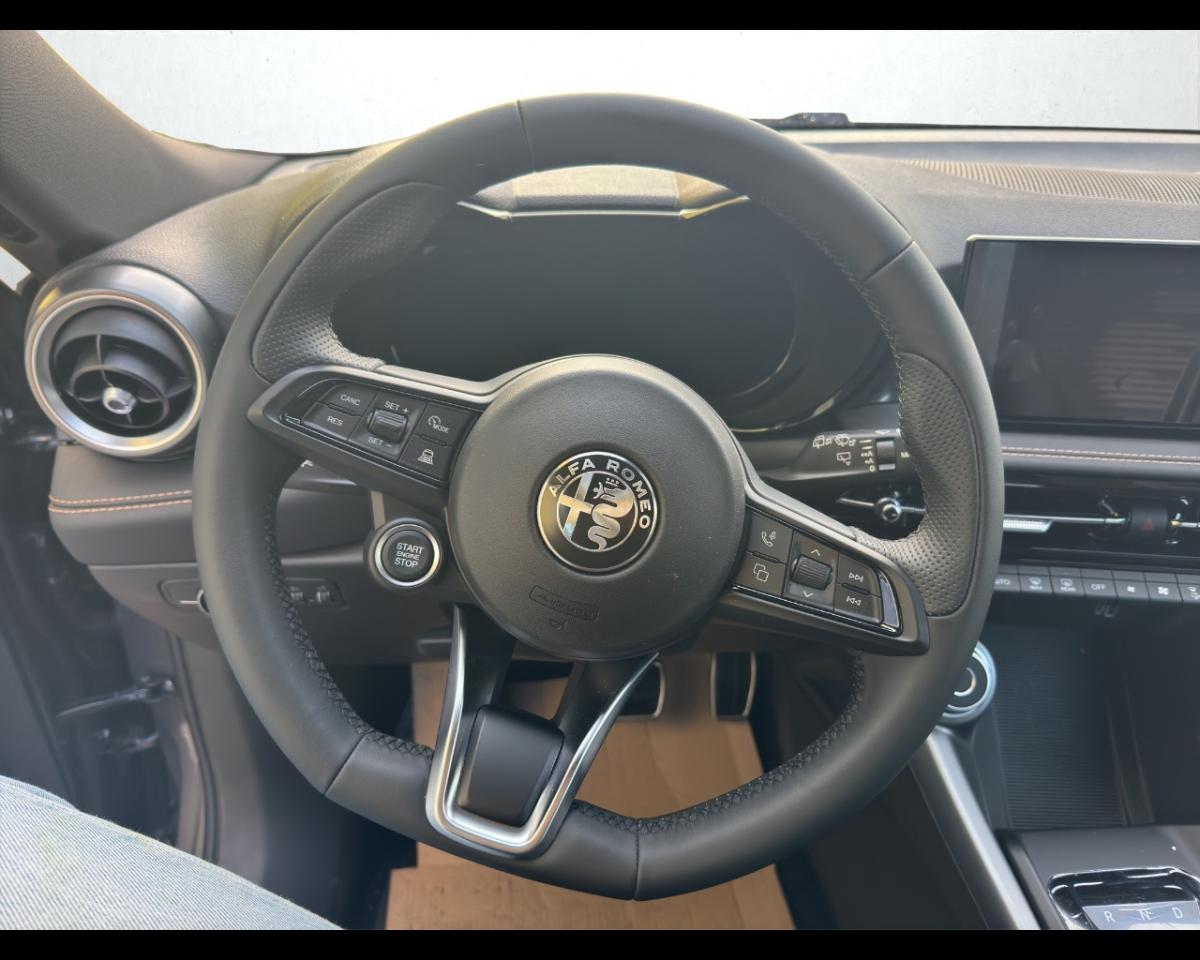 Alfa Romeo Alfa Romeo Tonale usata 18