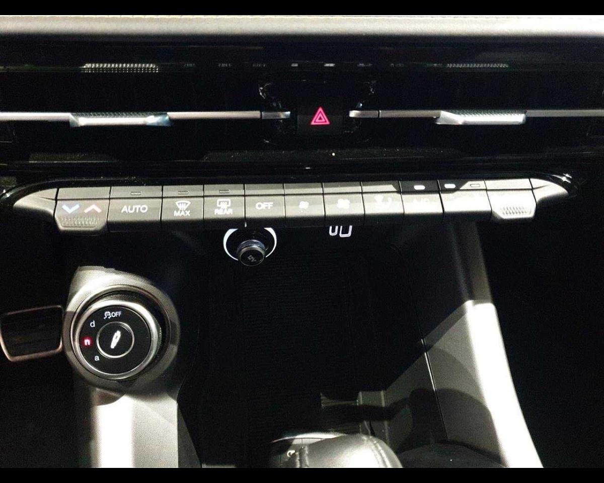 Alfa Romeo Alfa Romeo Tonale usata 12