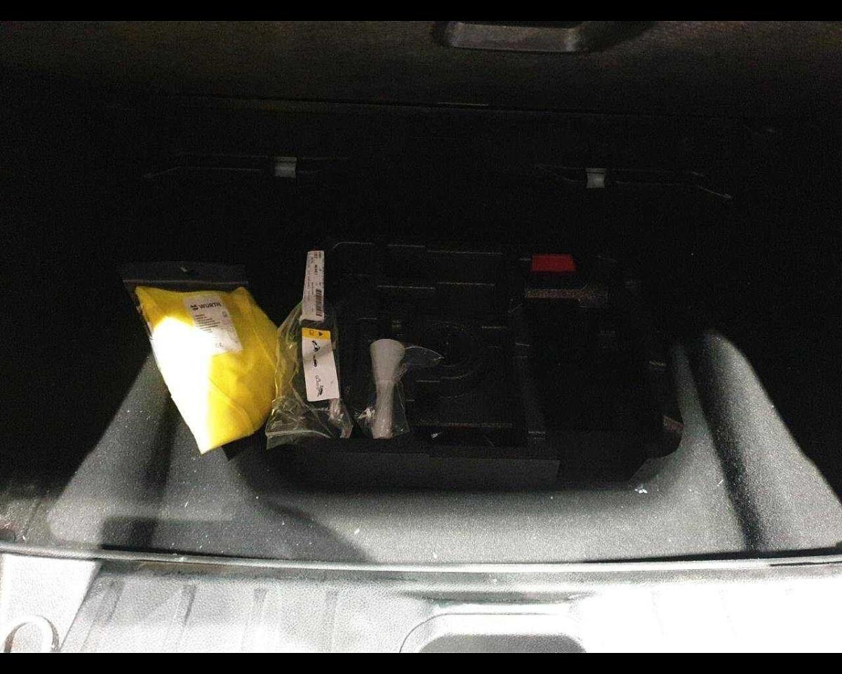 Alfa Romeo Alfa Romeo Tonale usata 23