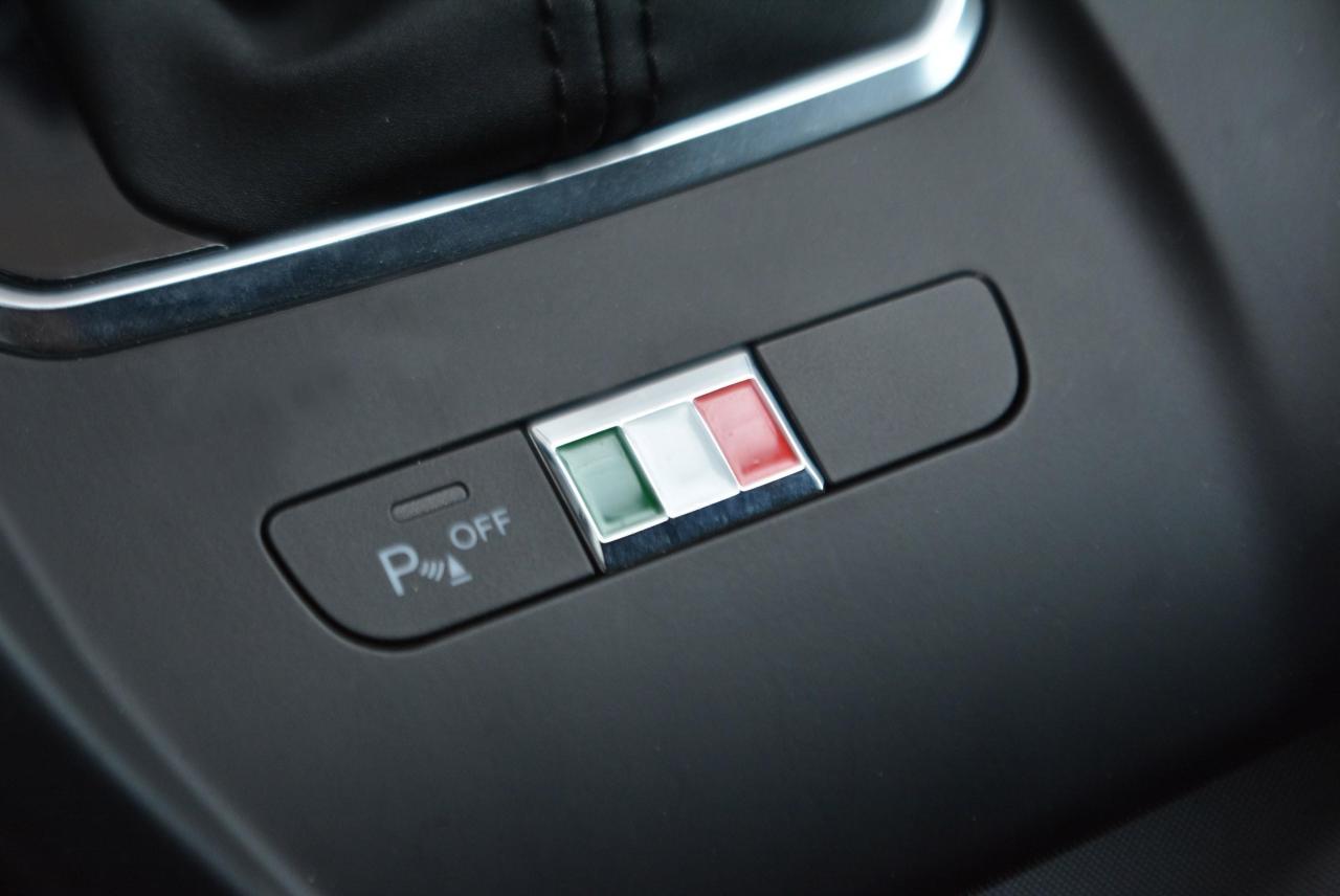 Alfa Romeo Alfa Romeo Tonale usata 9