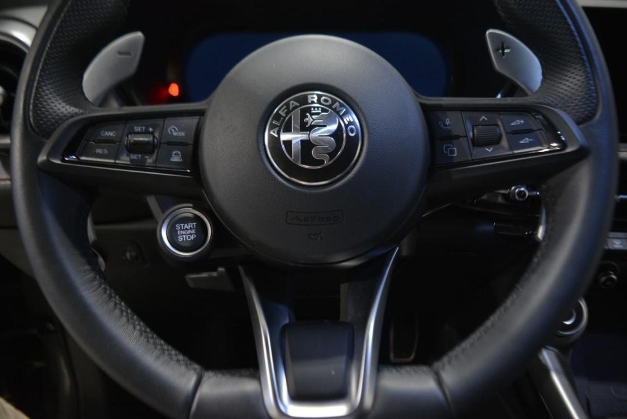 Alfa Romeo Alfa Romeo Tonale usata 23