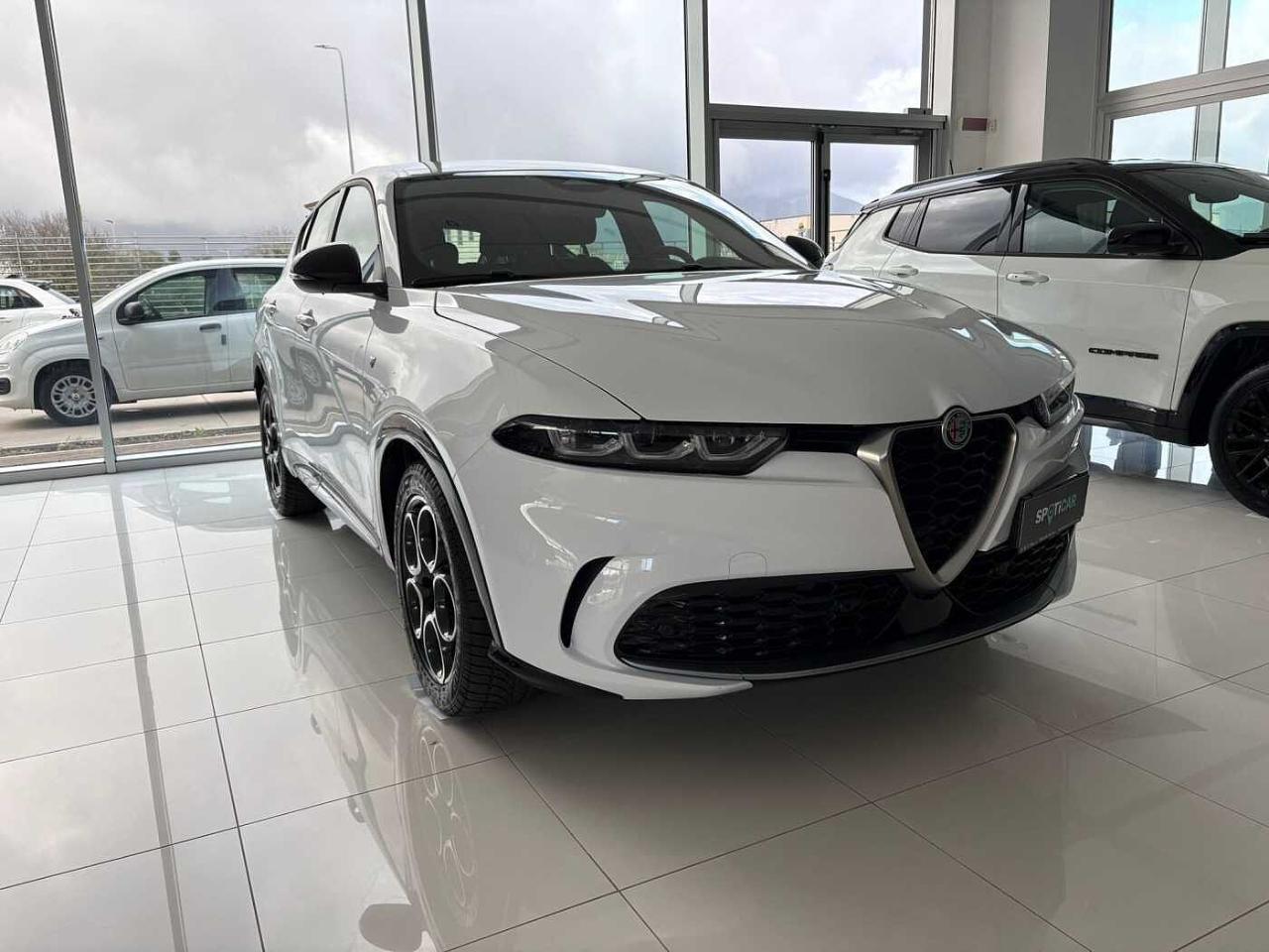 Alfa Romeo Alfa Romeo Tonale usata 11