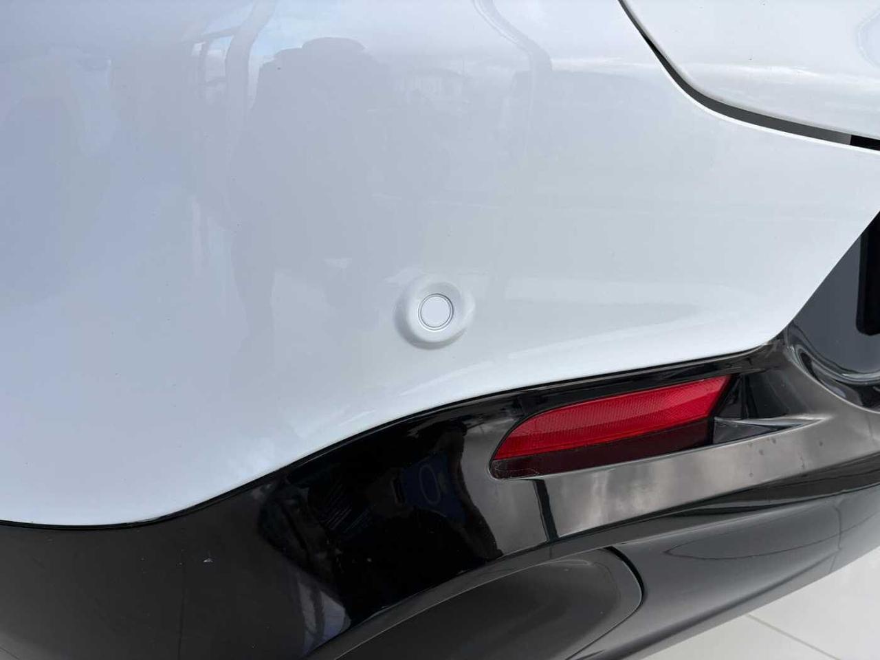 Alfa Romeo Alfa Romeo Tonale usata 27