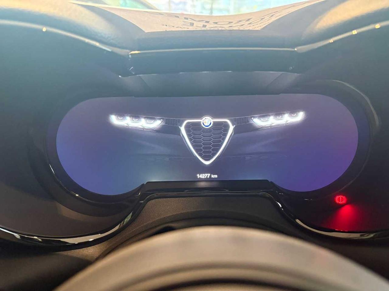 Alfa Romeo Alfa Romeo Tonale usata, con GPS