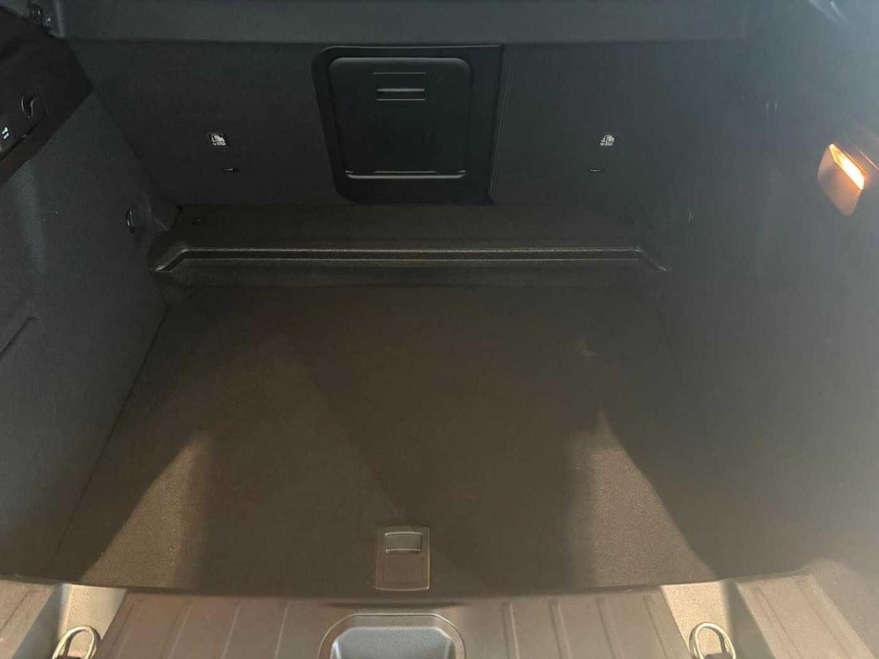 Alfa Romeo Alfa Romeo Tonale usata 16