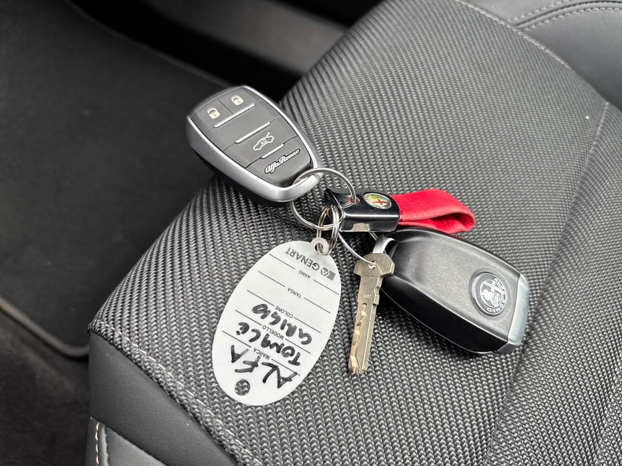 Alfa Romeo Alfa Romeo Tonale usata 7