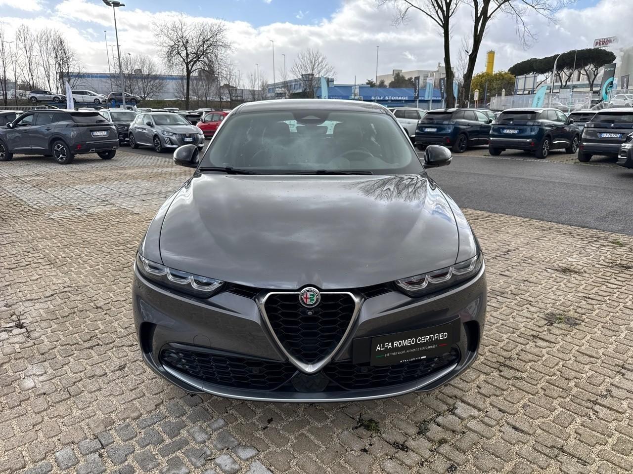 Alfa Romeo Alfa Romeo Tonale usata 11