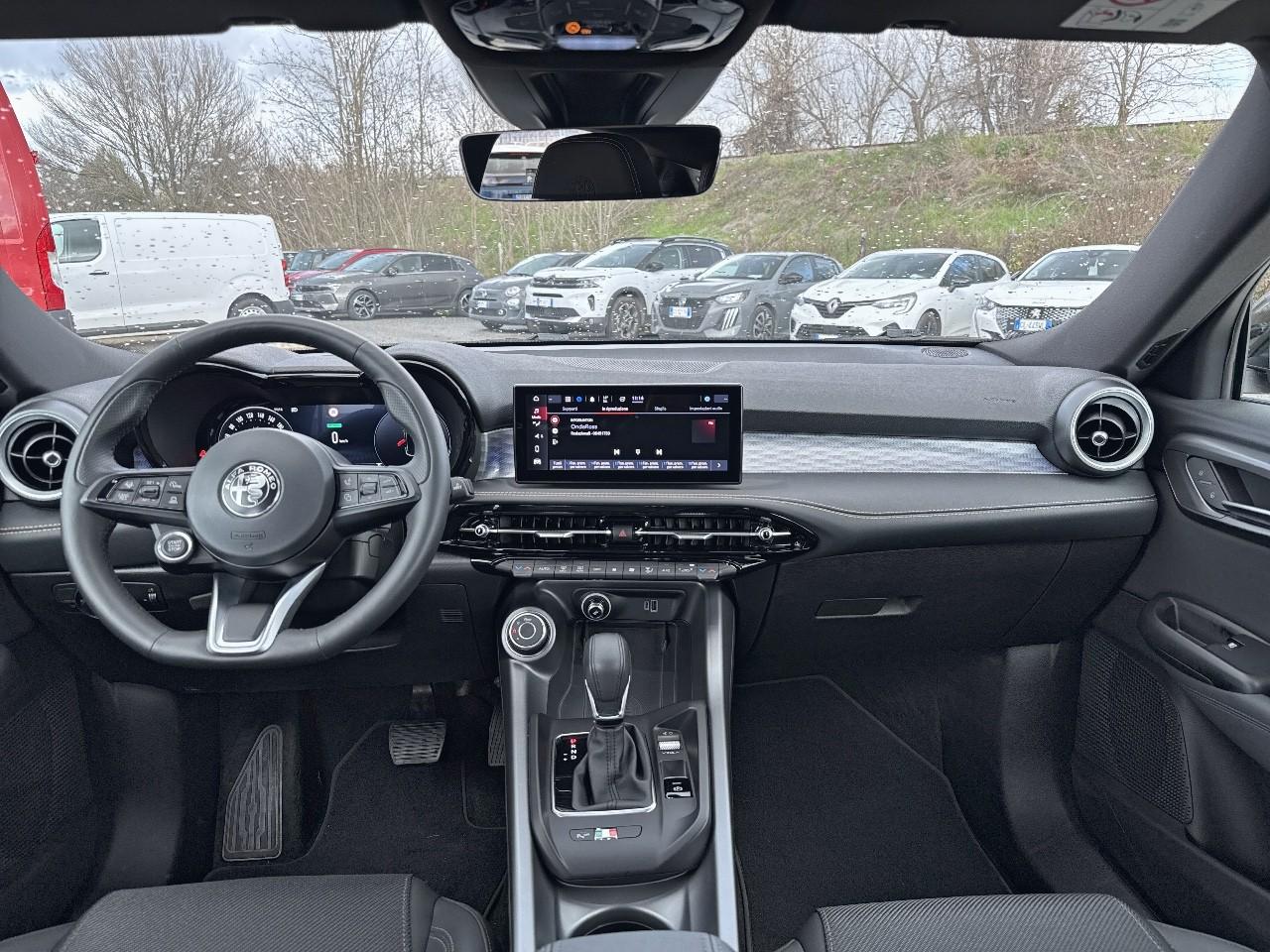 Alfa Romeo Alfa Romeo Tonale usata 19