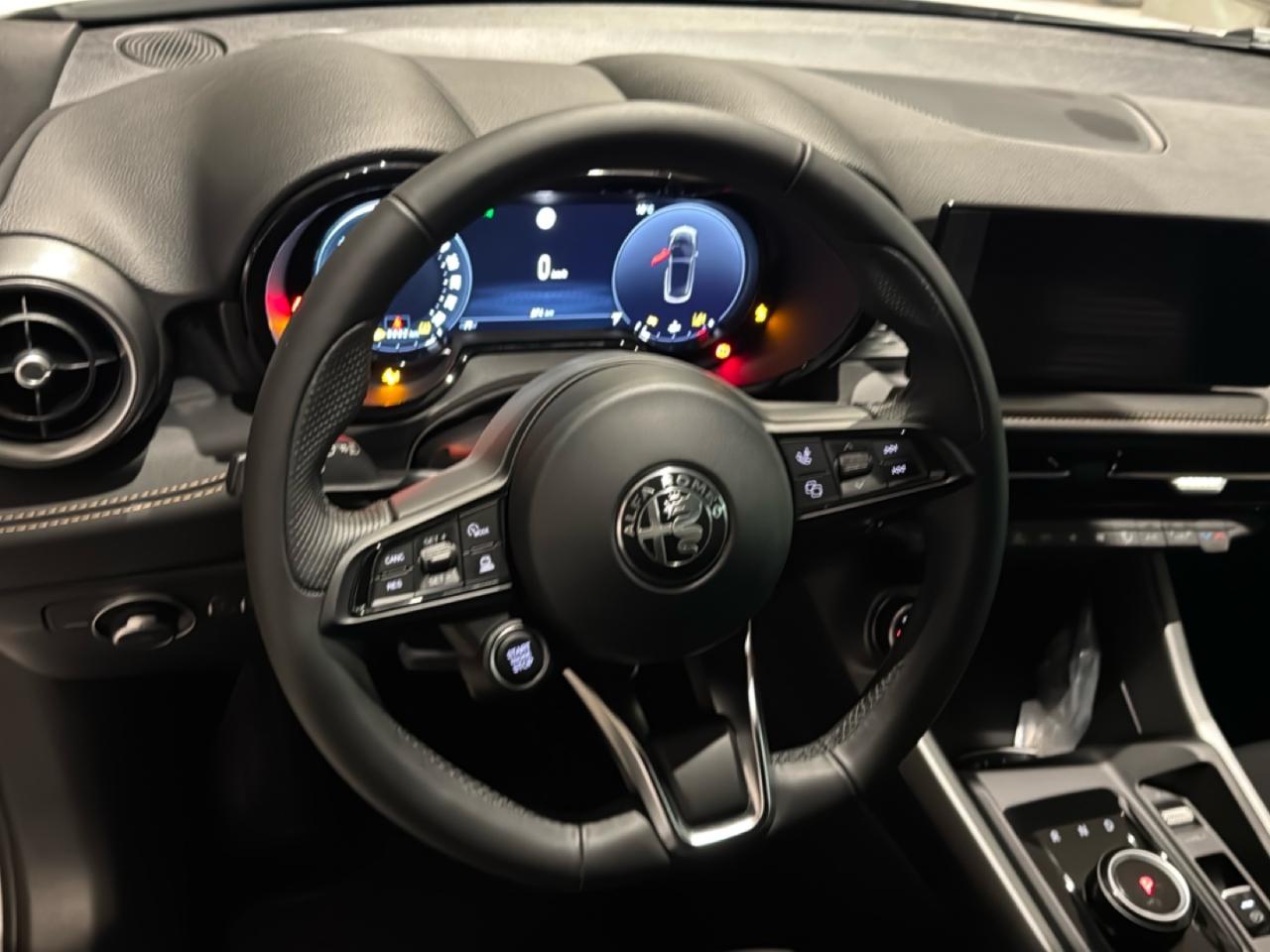 Alfa Romeo Alfa Romeo Tonale usata 1