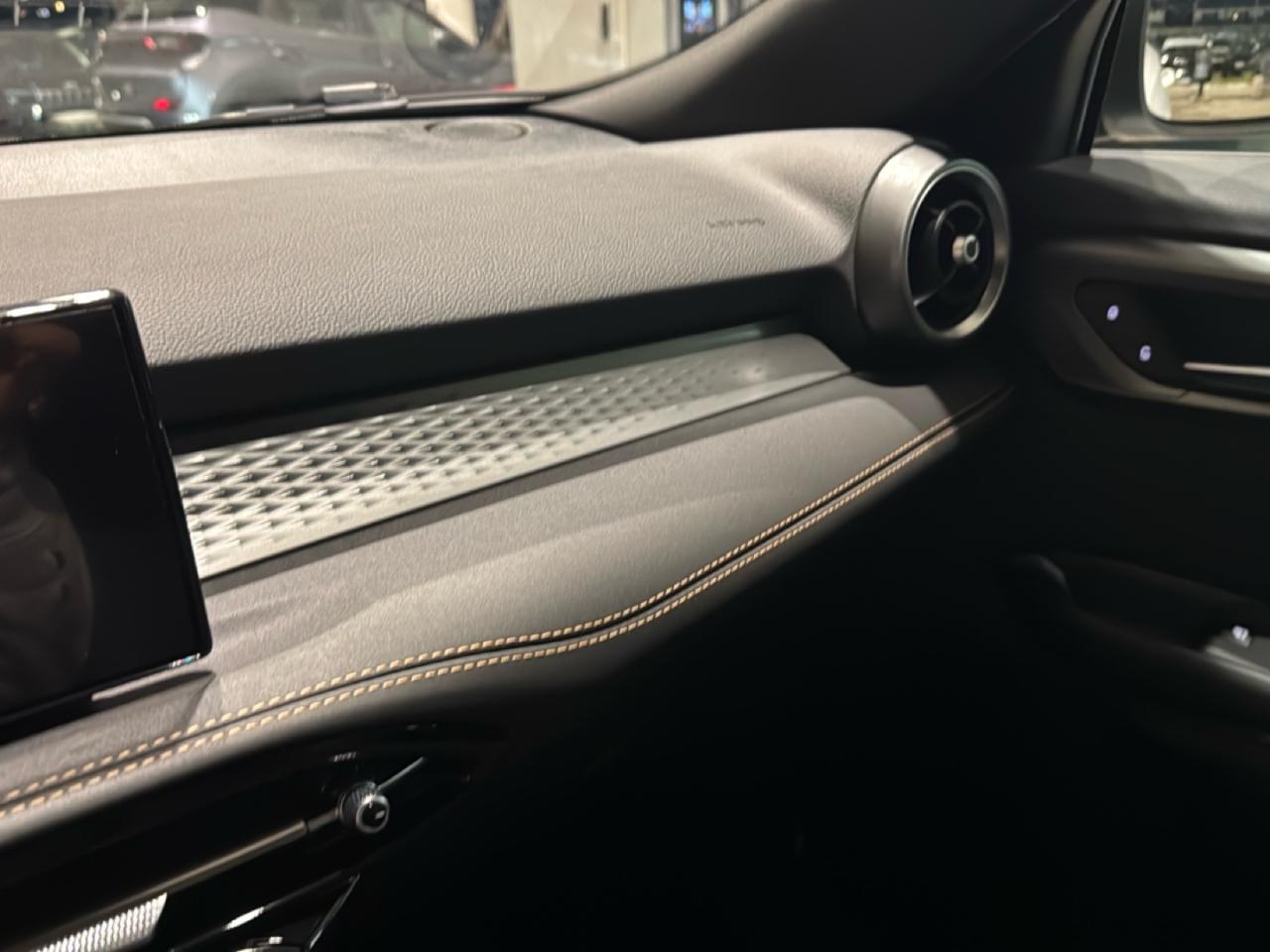 Alfa Romeo Alfa Romeo Tonale usata 10