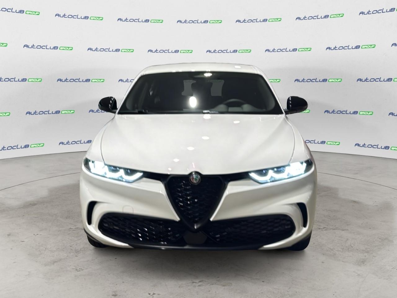 Alfa Romeo Alfa Romeo Tonale usata 11