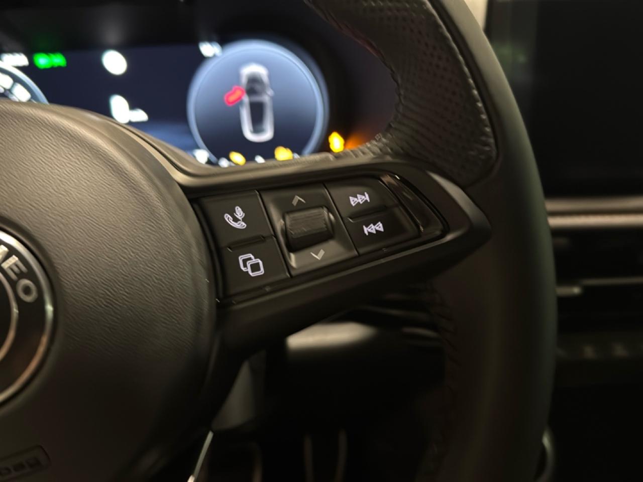 Alfa Romeo Alfa Romeo Tonale usata 13