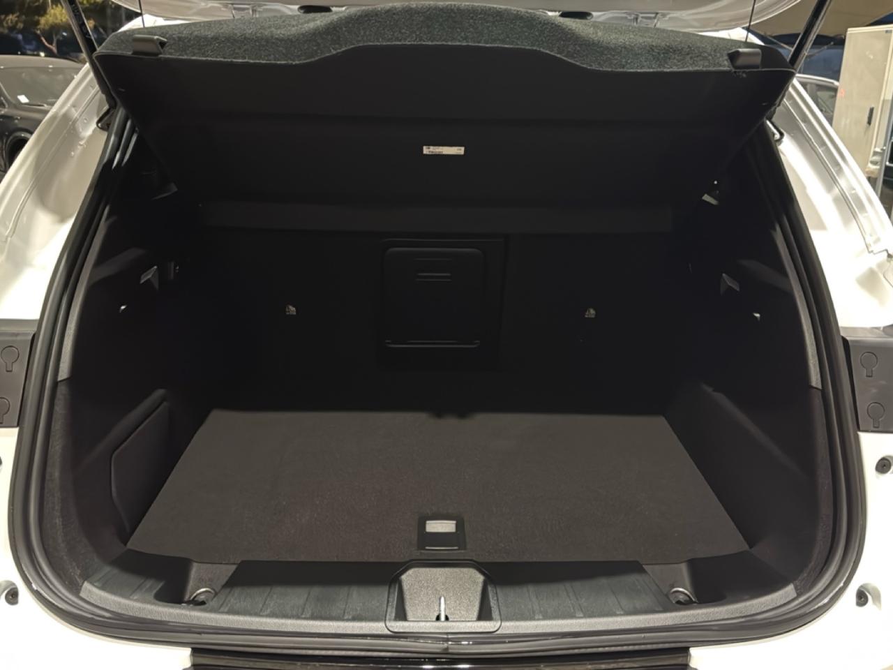 Alfa Romeo Alfa Romeo Tonale usata 14