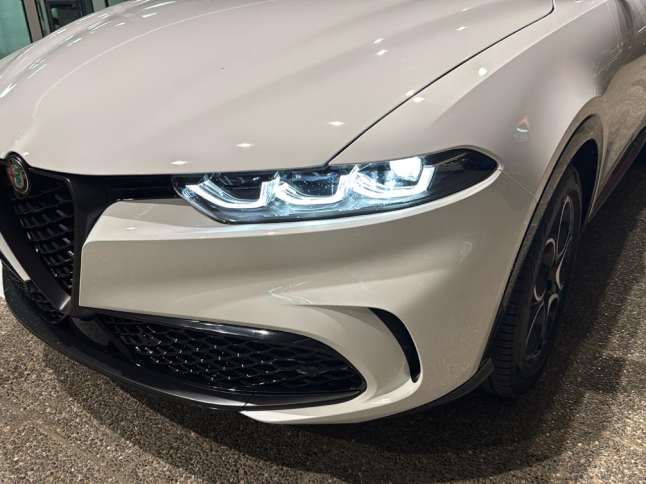 Alfa Romeo Alfa Romeo Tonale usata 16