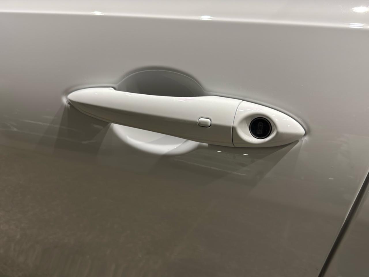 Alfa Romeo Alfa Romeo Tonale usata 22