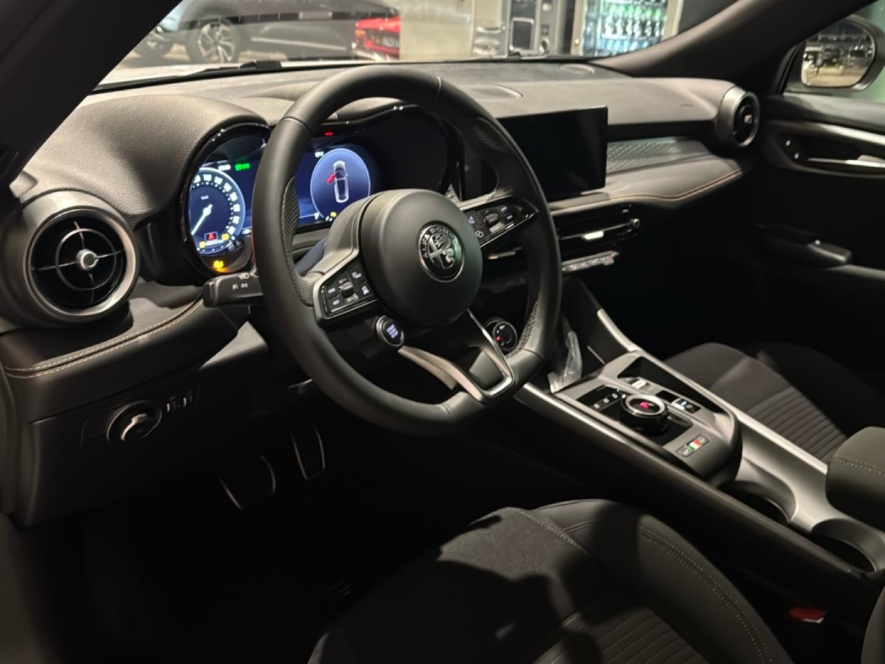 Alfa Romeo Alfa Romeo Tonale usata 23