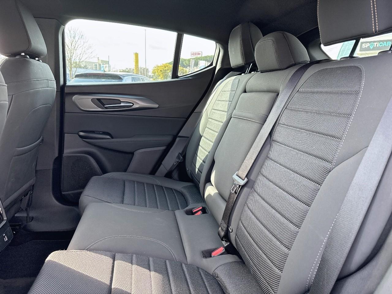 Alfa Romeo Alfa Romeo Tonale usata, con Climatizzatore