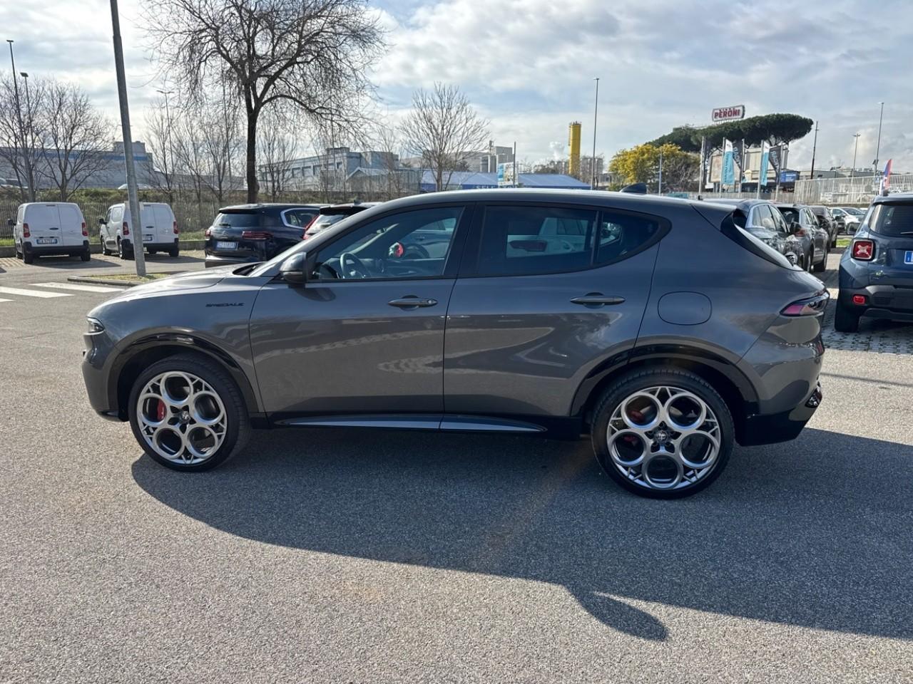 Alfa Romeo Alfa Romeo Tonale usata 15