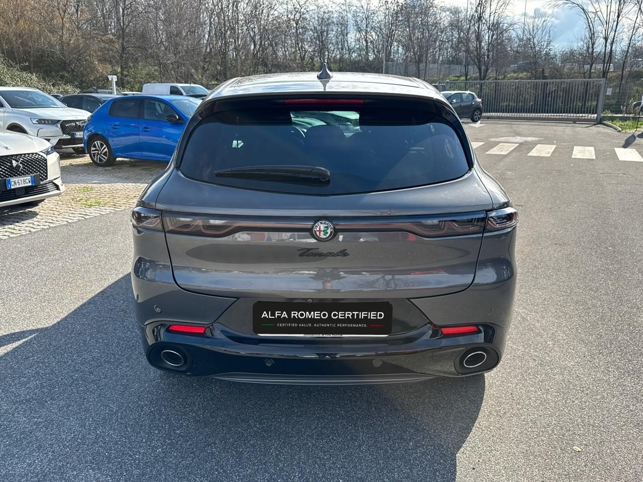 Alfa Romeo Alfa Romeo Tonale usata 16