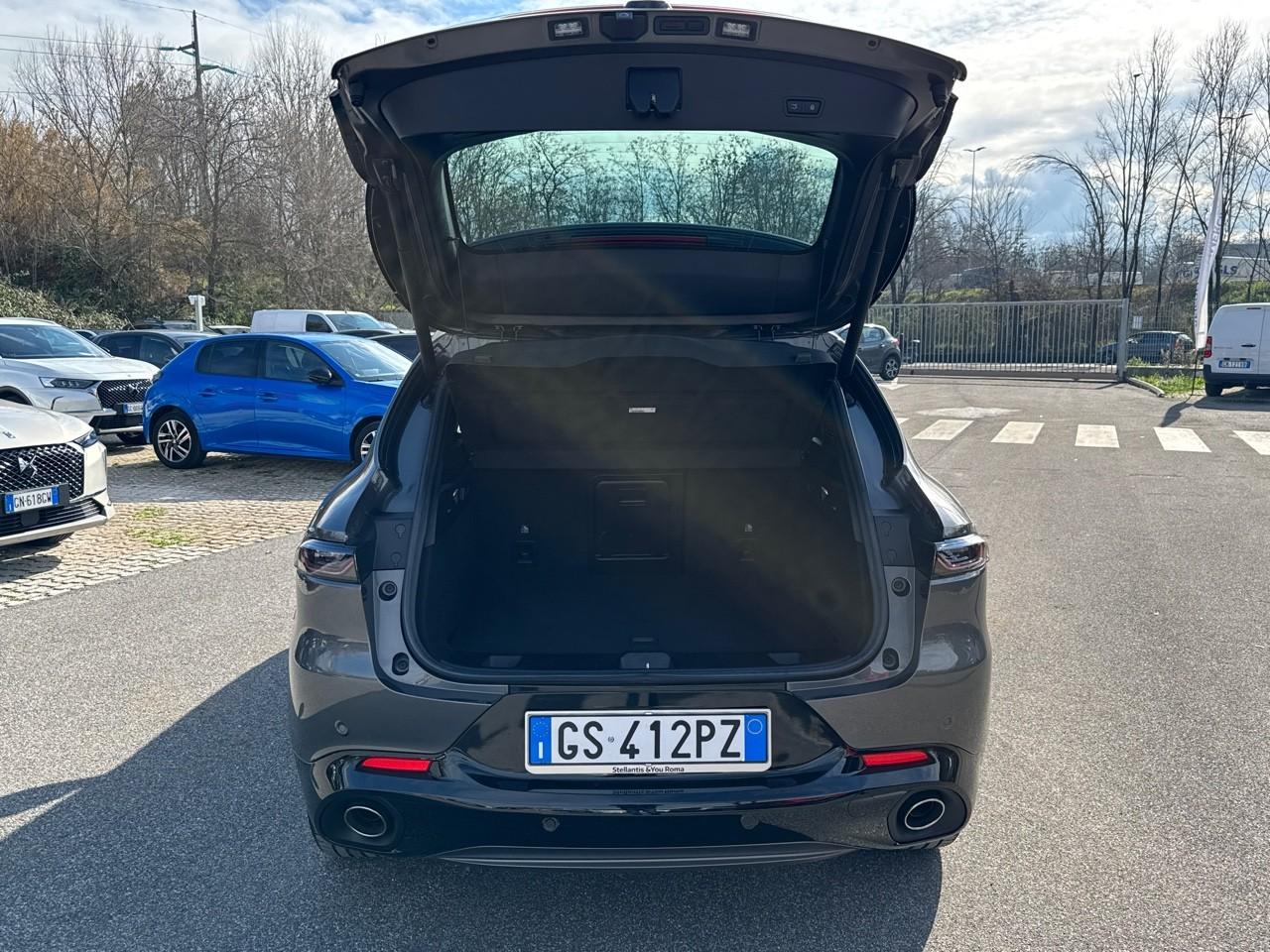 Alfa Romeo Alfa Romeo Tonale usata 17