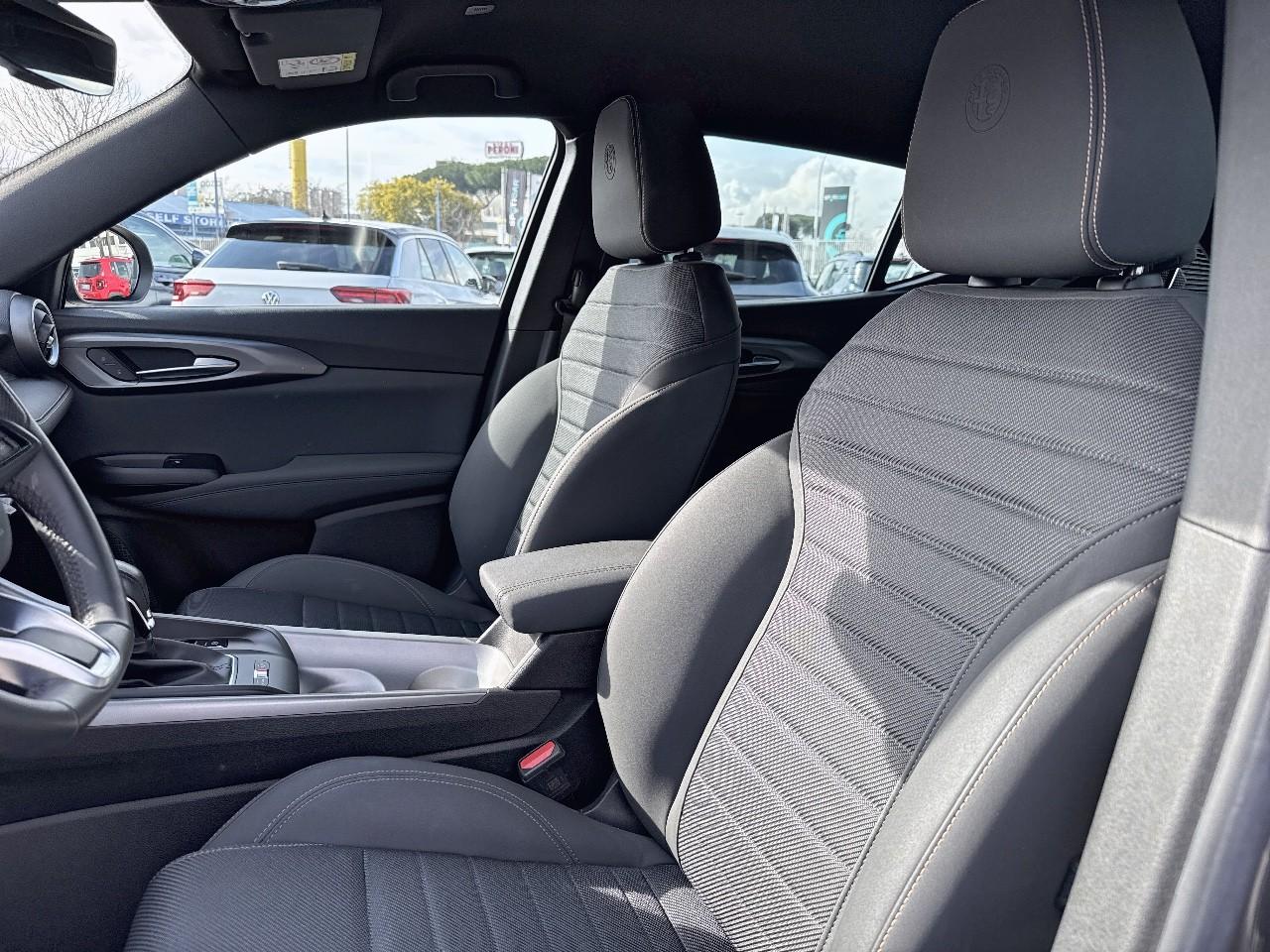 Alfa Romeo Alfa Romeo Tonale usata 20