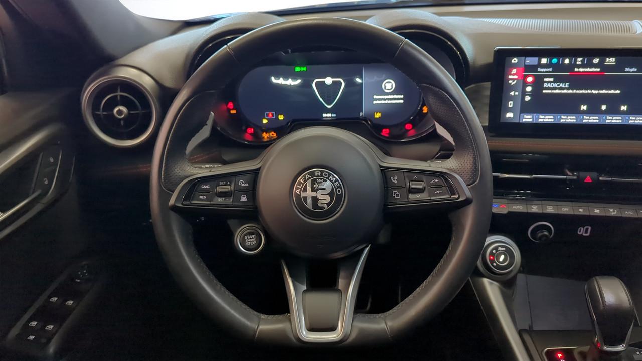 Alfa Romeo Alfa Romeo Tonale usata 7