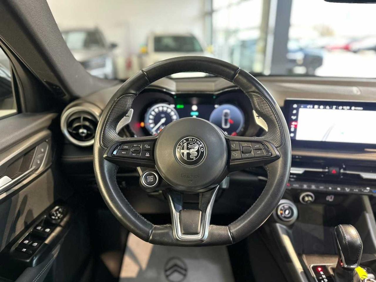 Alfa Romeo Alfa Romeo Tonale usata 22