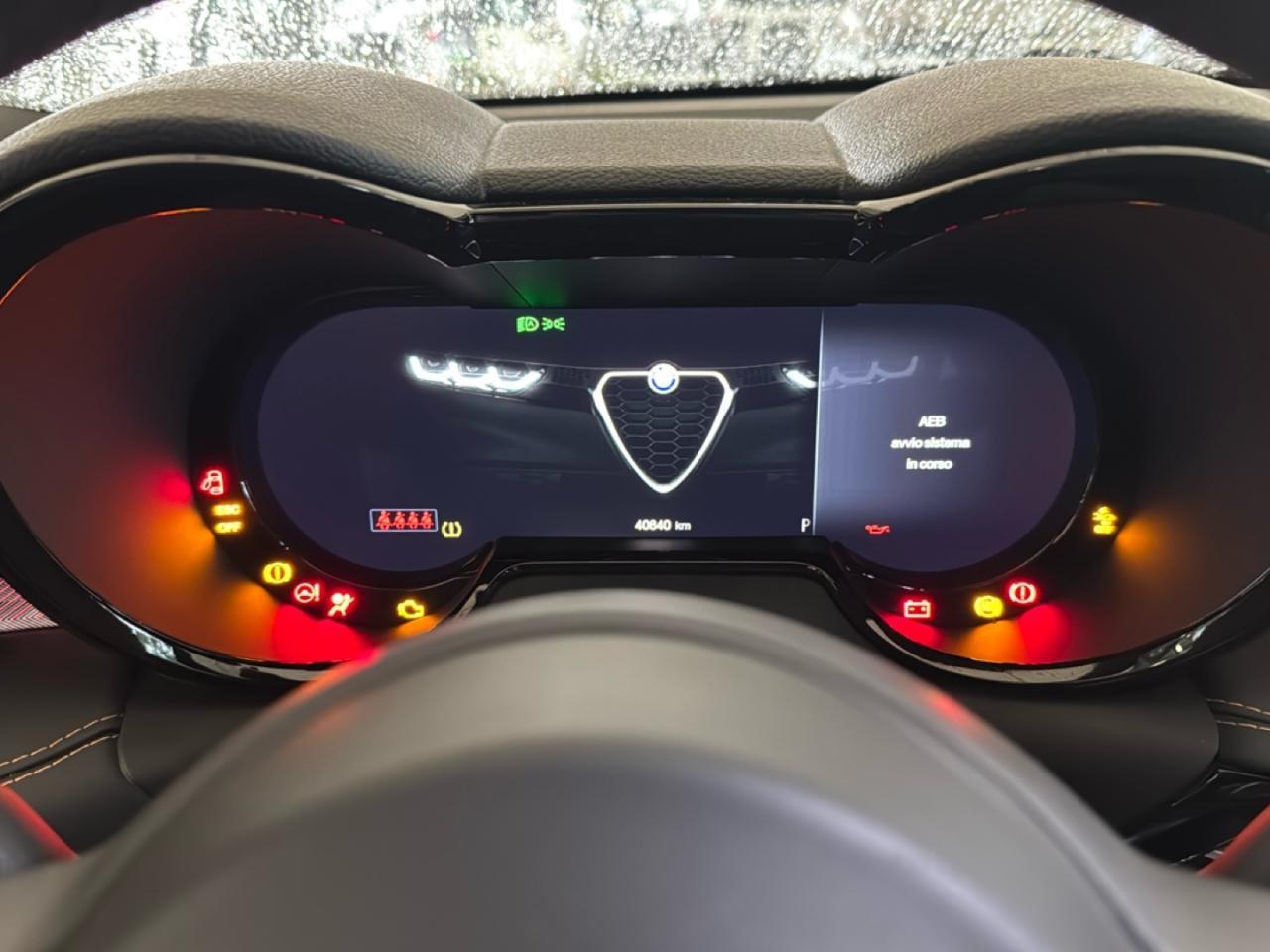 Alfa Romeo Alfa Romeo Tonale usata 2