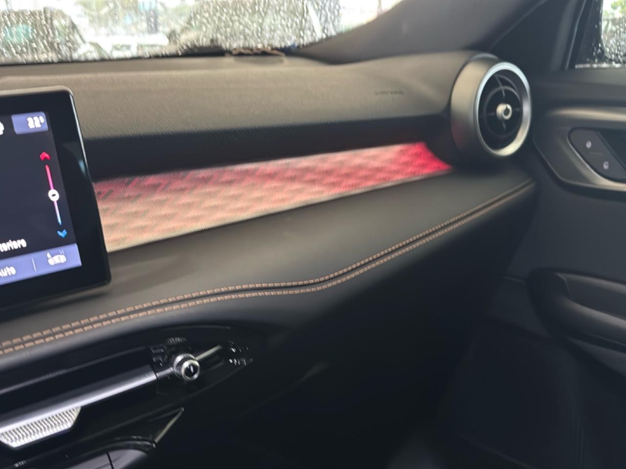 Alfa Romeo Alfa Romeo Tonale usata 10