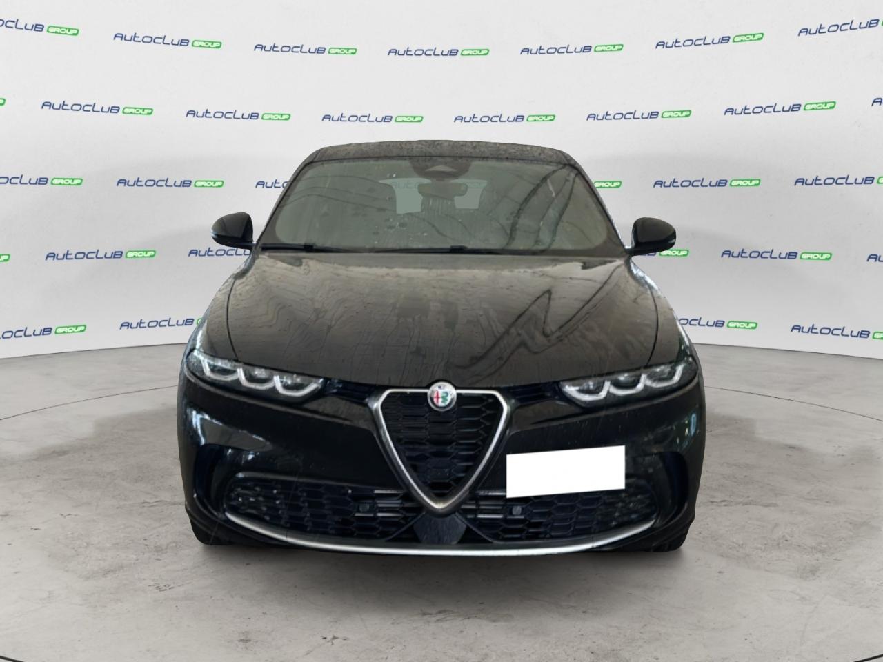 Alfa Romeo Alfa Romeo Tonale usata 11