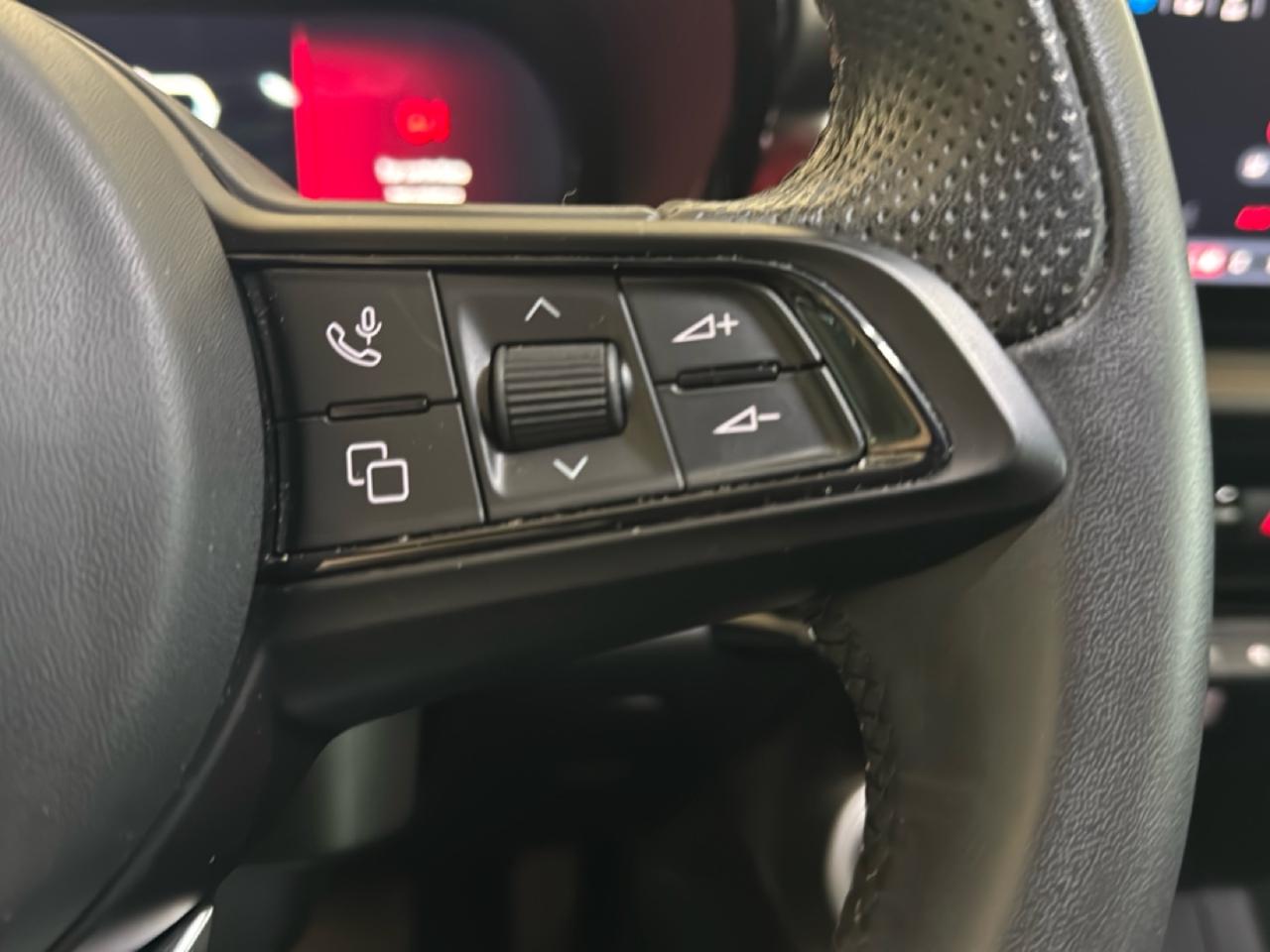 Alfa Romeo Alfa Romeo Tonale usata 13