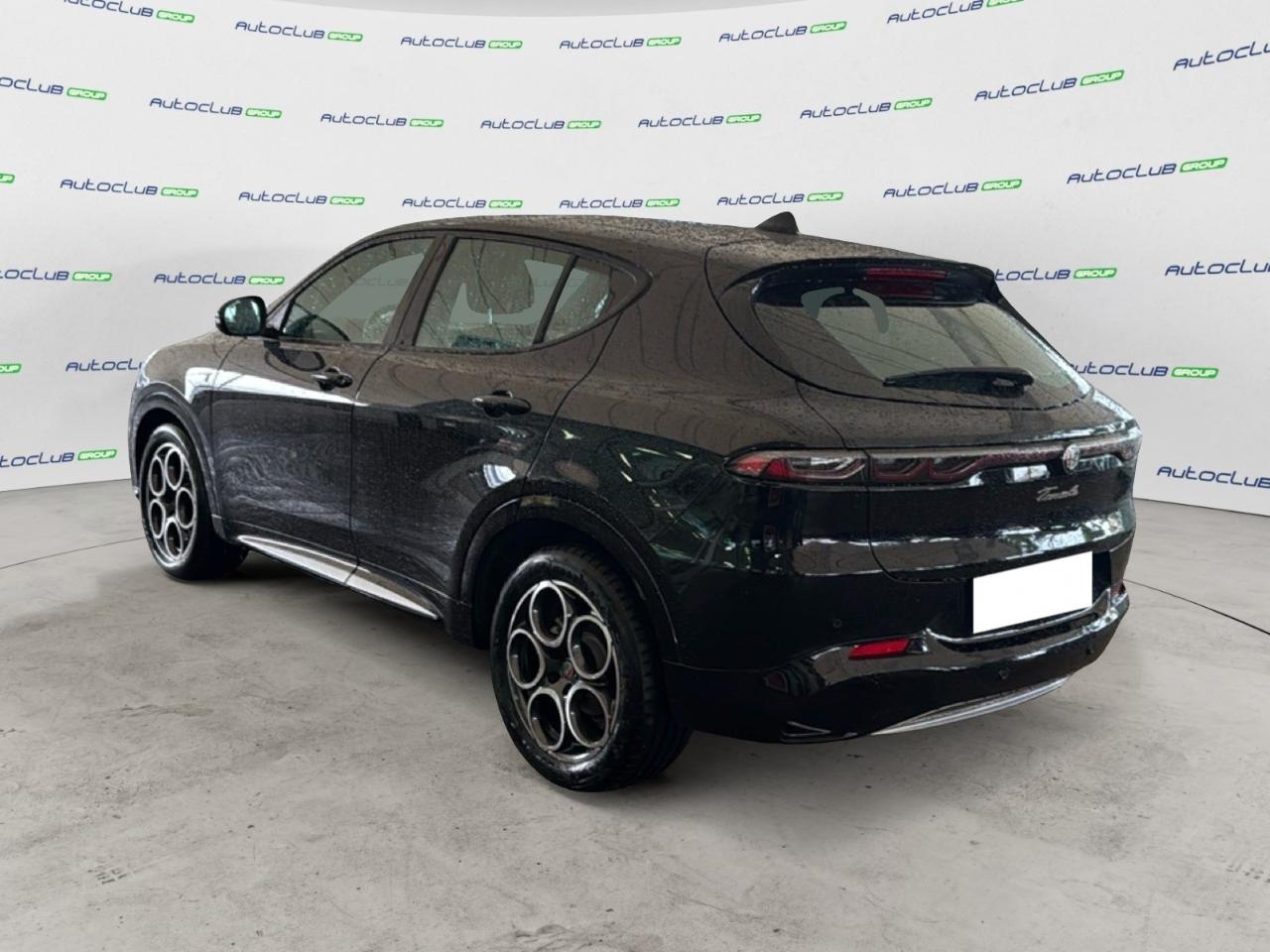 Alfa Romeo Alfa Romeo Tonale usata 20