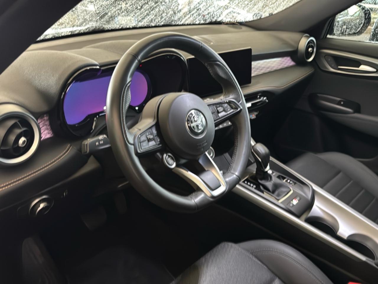 Alfa Romeo Alfa Romeo Tonale usata 23