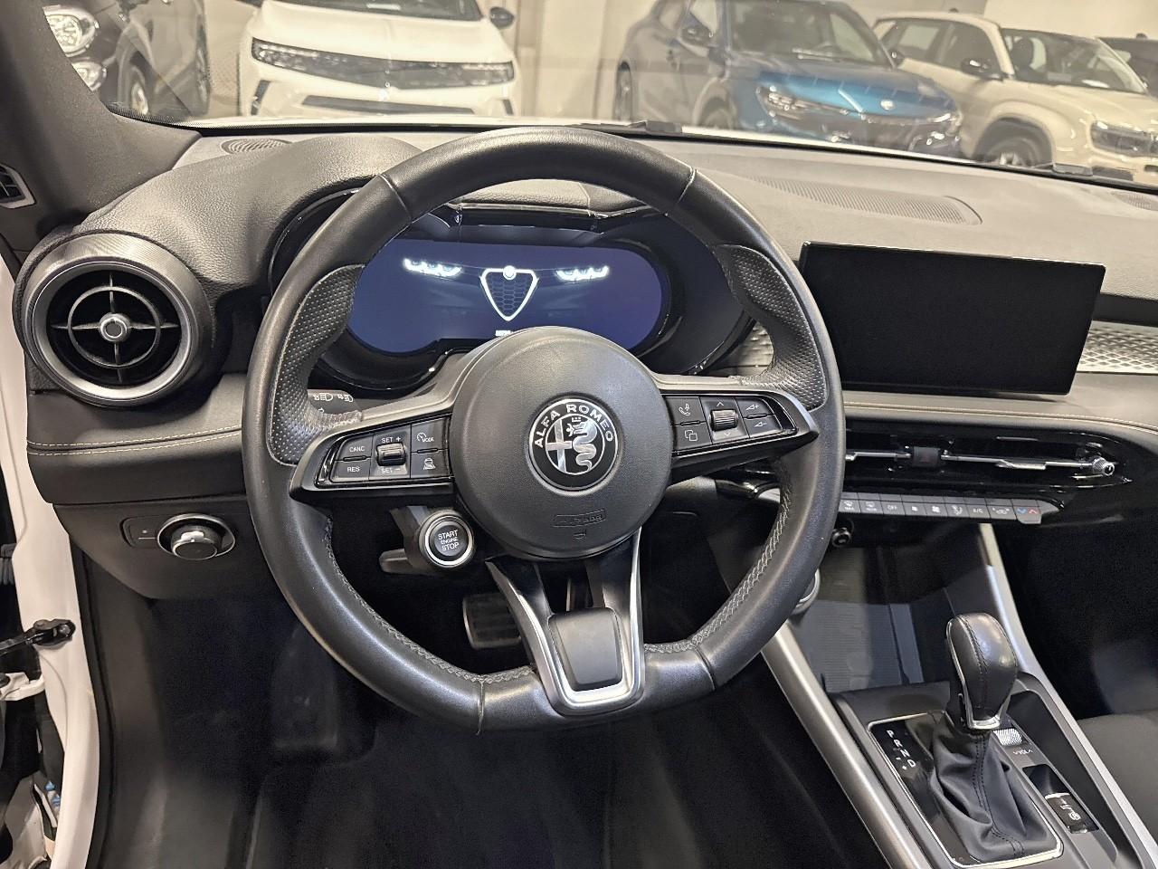 Alfa Romeo Alfa Romeo Tonale usata 7