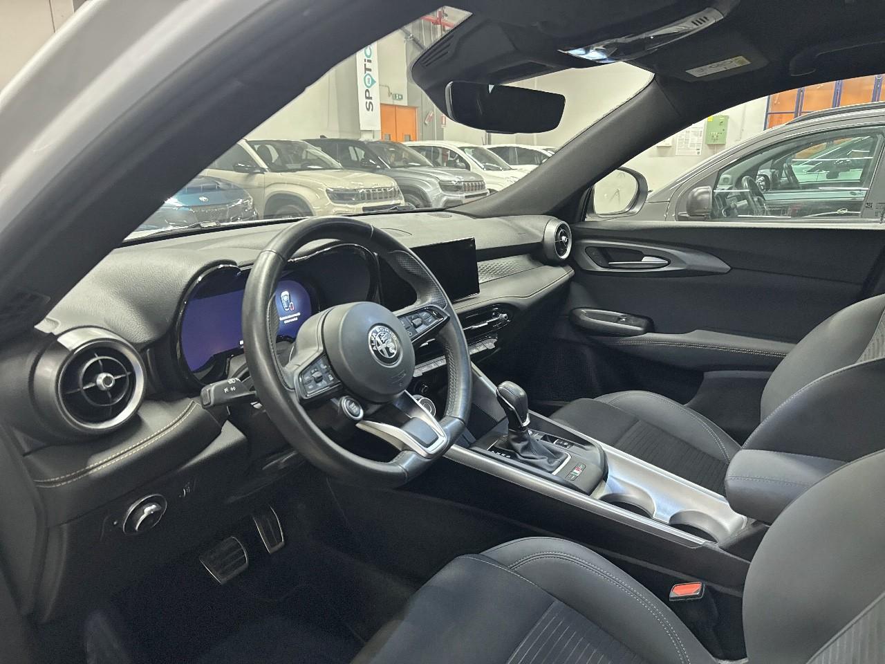 Alfa Romeo Alfa Romeo Tonale usata 19