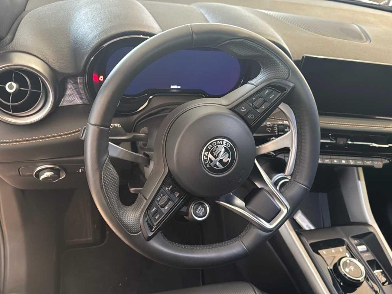 Alfa Romeo Alfa Romeo Tonale usata, con Vetri Oscurati