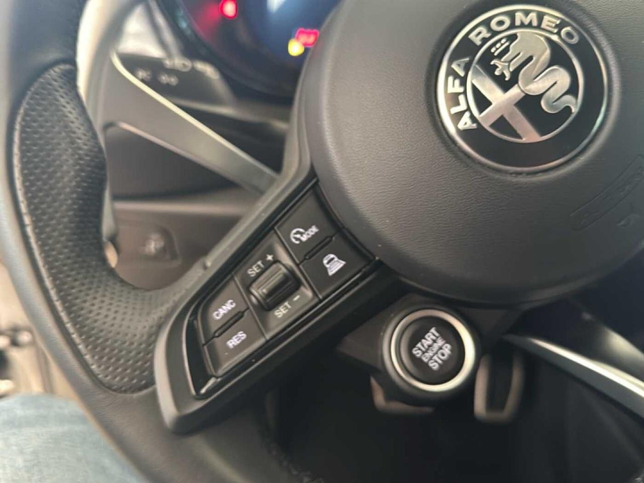 Alfa Romeo Alfa Romeo Tonale usata 12