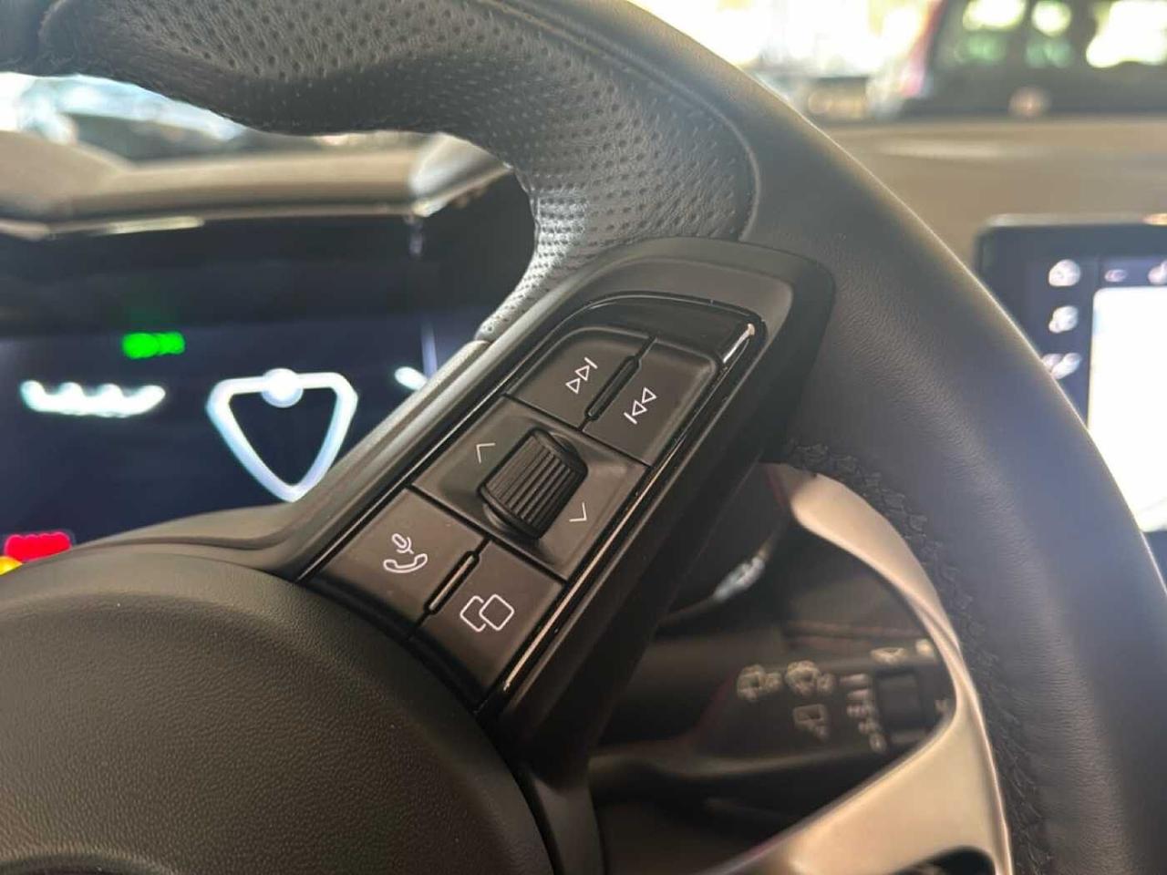 Alfa Romeo Alfa Romeo Tonale usata 13