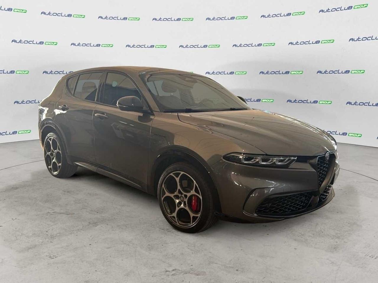 Alfa Romeo Alfa Romeo Tonale usata 17