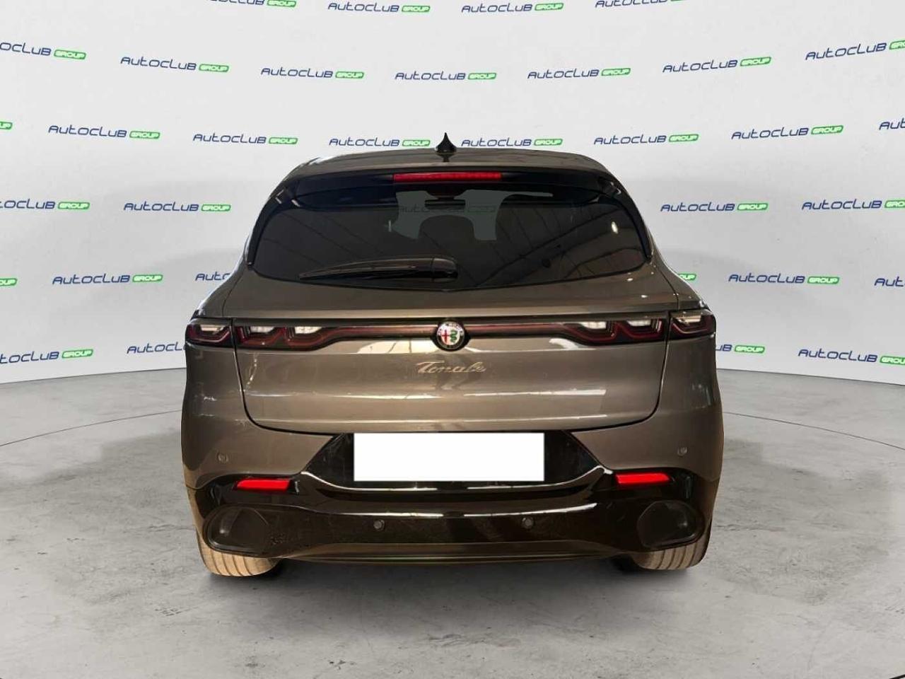 Alfa Romeo Alfa Romeo Tonale usata 19