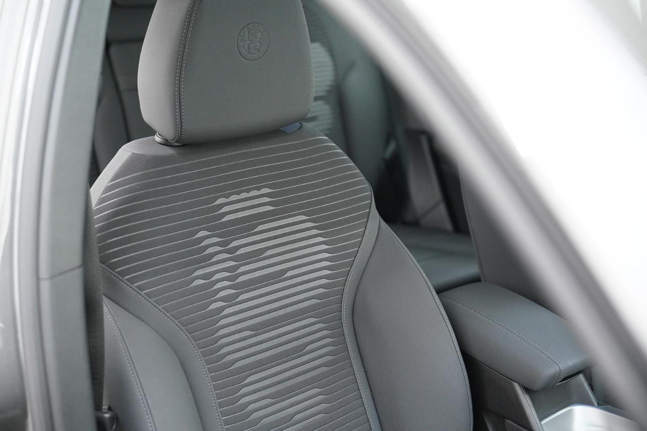 Alfa Romeo Alfa Romeo Tonale usata 14