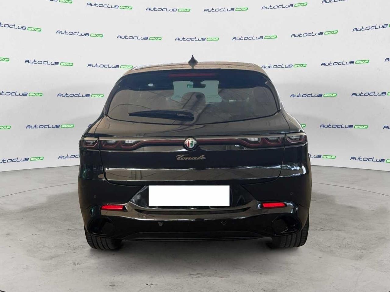Alfa Romeo Alfa Romeo Tonale usata 19