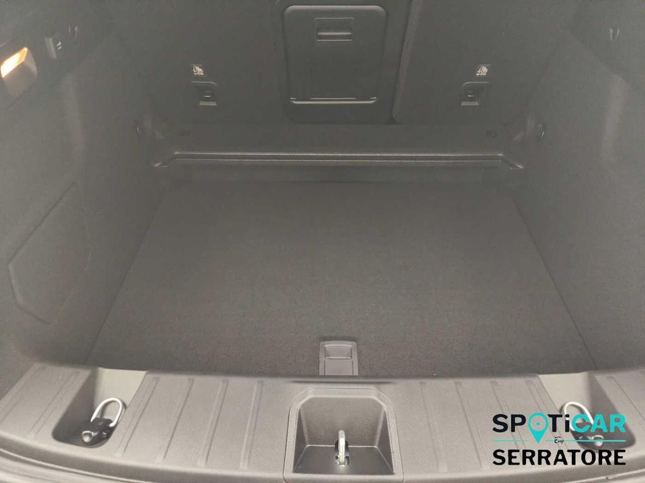 Alfa Romeo Alfa Romeo Tonale usata 8