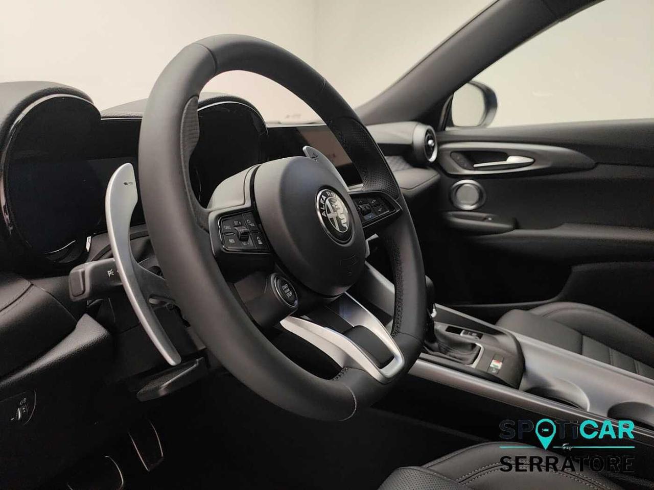 Alfa Romeo Alfa Romeo Tonale usata 18