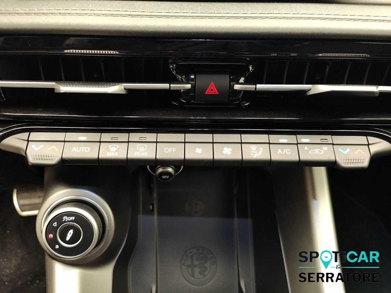 Alfa Romeo Alfa Romeo Tonale usata 7