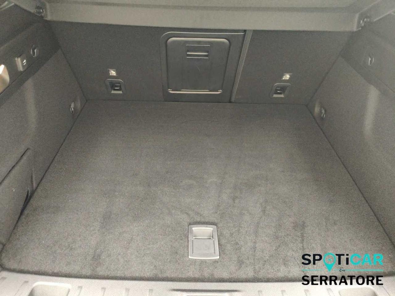 Alfa Romeo Alfa Romeo Tonale usata 12